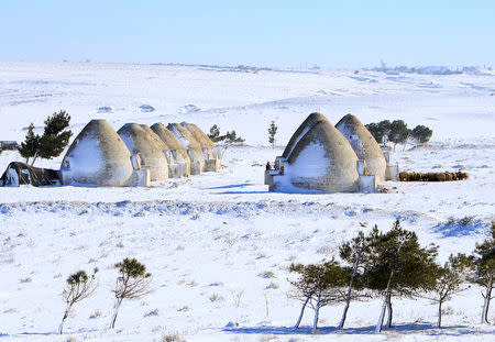 Domed mud houses are covered in snow on a road to Aleppo through Homs, Syria January 29, 2017. REUTERS/Ali Hashisho