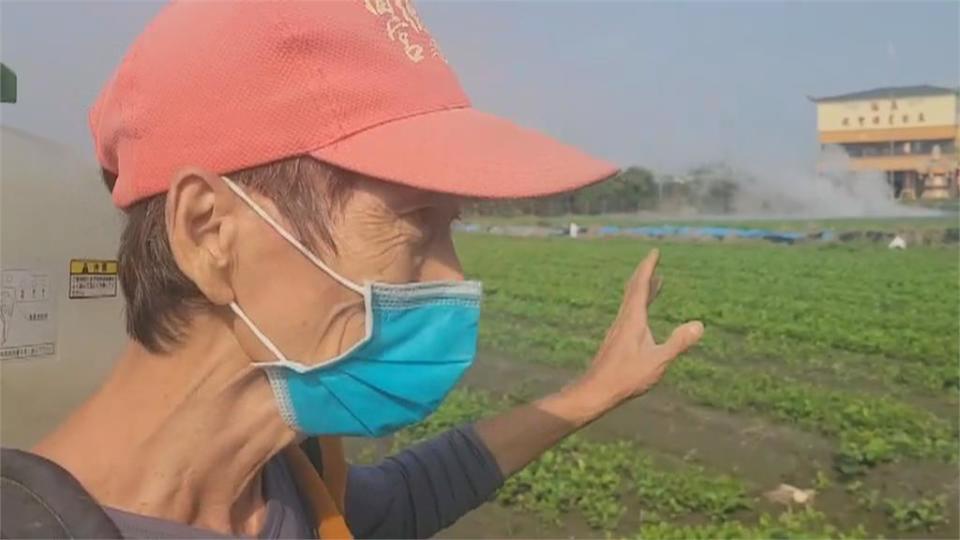 都是天意！　萬丹泥火山又噴發　淹沒紅豆田　農民無奈