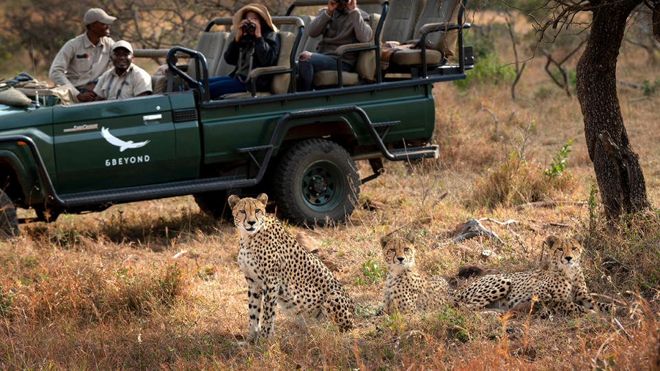 A game drive at andBeyond Phinda Forest Lodge