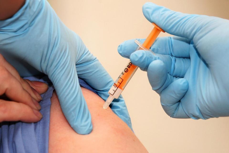 Flu jab: This year's standard vaccination does not include 'Japanese' flu, which is spreading (AFP/Getty Images)