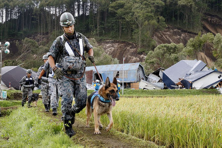 Members of the Japan Self-Defense Forces (JSDF) with dogs go to search for survivors at an area damaged by a landslide caused by an earthquake in Atsuma town, Hokkaido, northern Japan, in this photo taken by Kyodo September 7, 2018. Mandatory credit Kyodo/via REUTERS