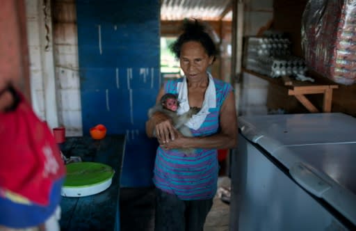 A woman carries a bald uakari monkey inside her home in the village of Sao Francisco do Cubua in Brazil's Amazon river basin