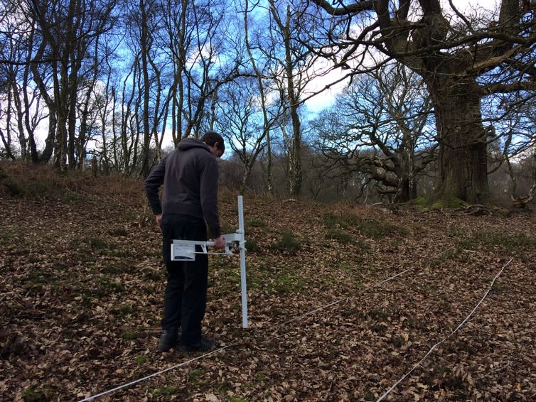 <span class="caption">Search for a missing person in woodland in the Midlands with a magnetic gradiometer.</span> <span class="attribution"><span class="license">Author provided</span></span>