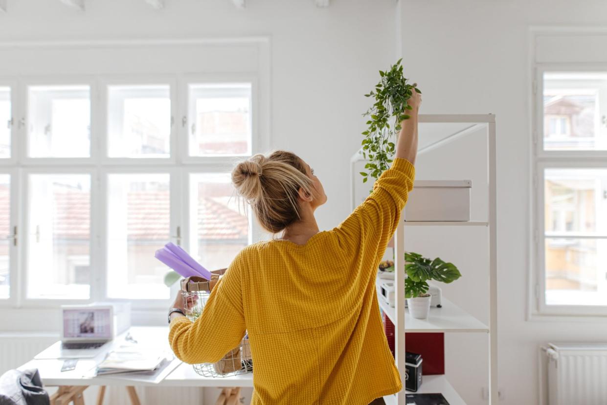 How To Feng Shui Your Apartment for Better Mental Health/Sleep