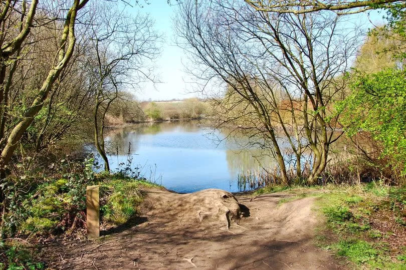 Pennington Flash near Leigh, Wigan, one of the locations where Willow Tits have refuge.