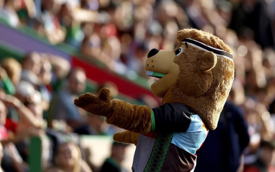 Harlequins mascot Harley Bear. Rugby Players' Association general secretary Christian Day is seeking to introduce a minimum salary into the Gallagher Premiership after claiming that club mascots are better paid than some of his members. Issue date: Tuesday January 24, 2023 - Steve Paston/PA Wire