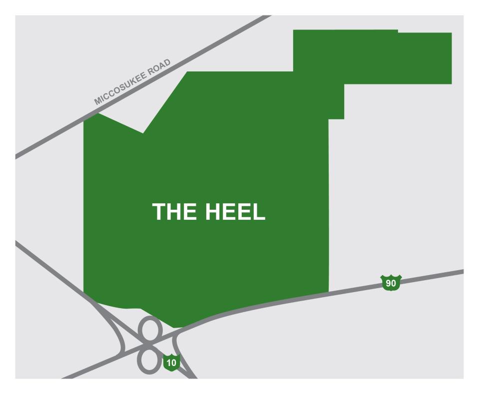 Jacksonville-based GreenPointe Developers is planning to build a 900-acre master-planned community at the "heel" of the Welaunee.