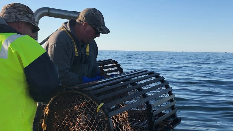 Fishermen versus North Atlantic right whales: Which group gets priority?