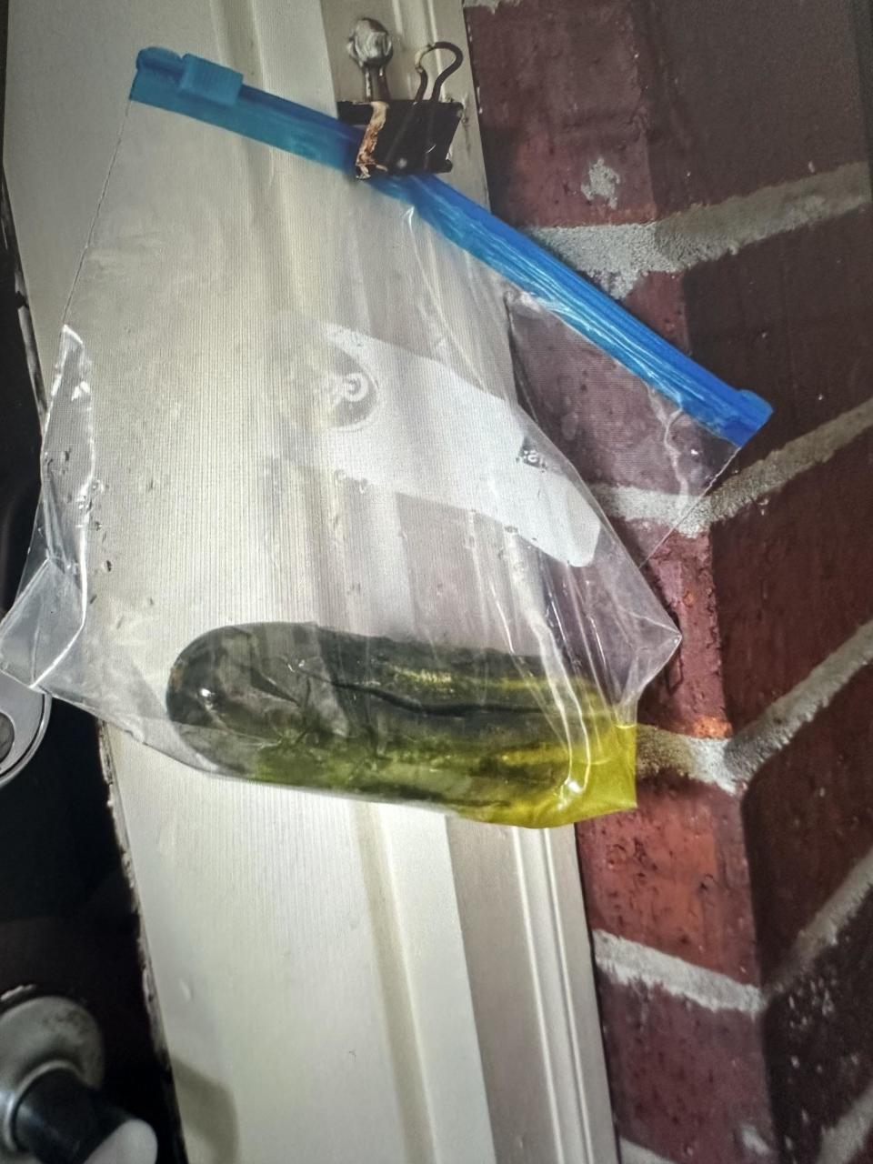 a pickle in a bag