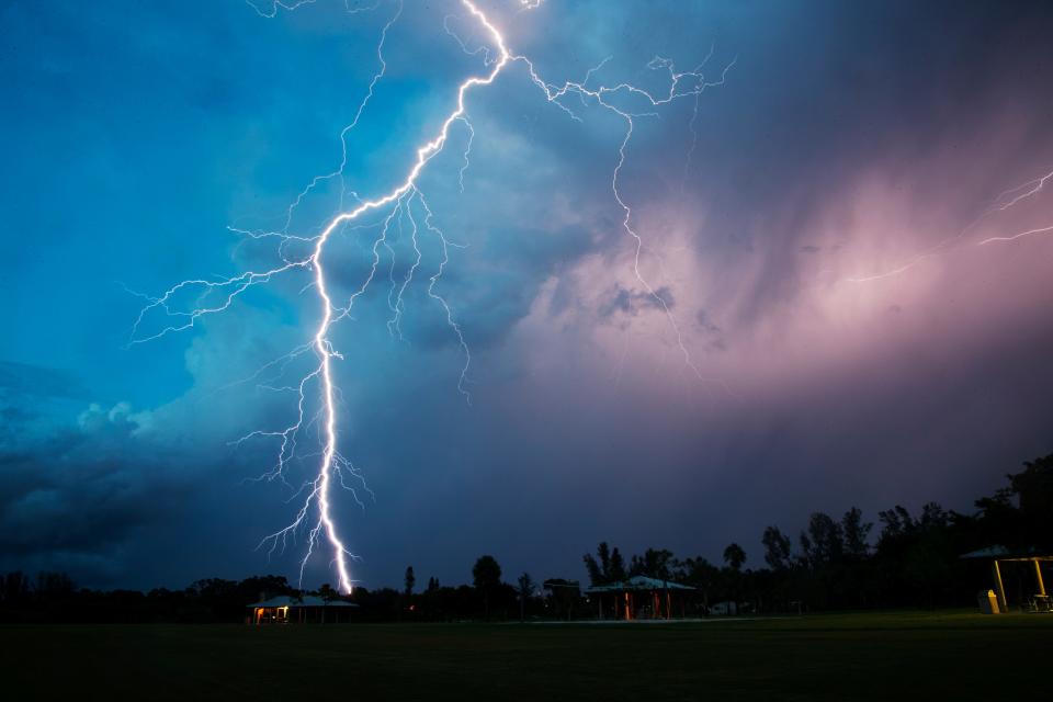 A bolt of lightning and the tentacles associated with it strikes in Fort Myers near Lakes Park on Thursday 9/6/2018 evening. The bolt was associated with a thick thunderstorm that rolled through the area.   