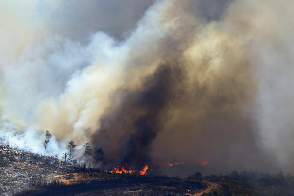 A forest burns during a wildfire near Alcublas, eastern Spain, on Thursday, Aug. 18, 2022. The European Forest Fire Information System says 275,000 hectares (679,000 acres) have burned in wildfires so far this year in Spain. That's more than four times the country's annual average of 67,000 hectares (165,000 acres) since 2006, when records began. (AP Photo/Alberto Saiz)