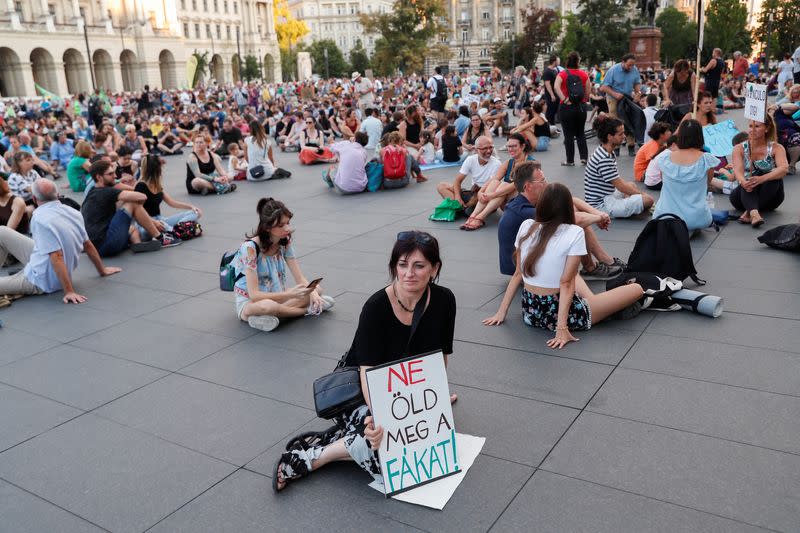 Protest against Hungary's PM Orban's decision to waive rules protecting native forests from logging, in Budapest