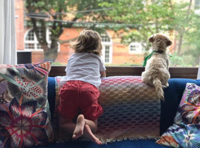 <p>Olivia Wildes Söhnchen und ihr Hund sind schwer beschäftigt… irgendjemand muss schließlich ein Auge auf die Nachbarschaft haben. (Bild: Instagram.com/Olivia Wilde) </p>