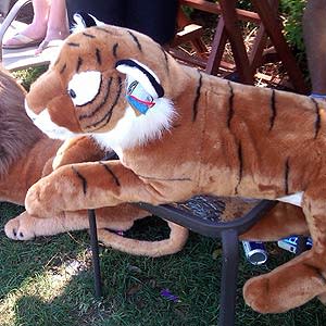 If Tiger Woods even noticed this stuffed tiger, perched near where his errant drive landed on No. 4, he didn't show it