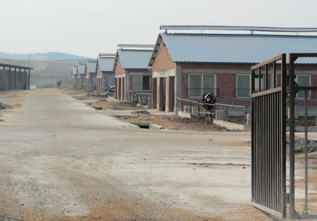 Cow farm houses of Huishan Dairy are seen in Shenyang, Liaoning province, China, March 30, 2017. Picture taken March 30, 2017. REUTERS/Jake Spring