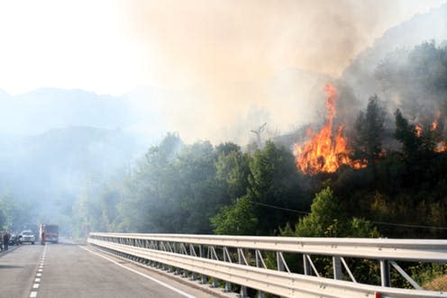 <span class="caption">A fire recently tore through an Italian memorial to Mussolini made of trees.</span> <span class="attribution"><span class="source">Shutterstock.com</span></span>