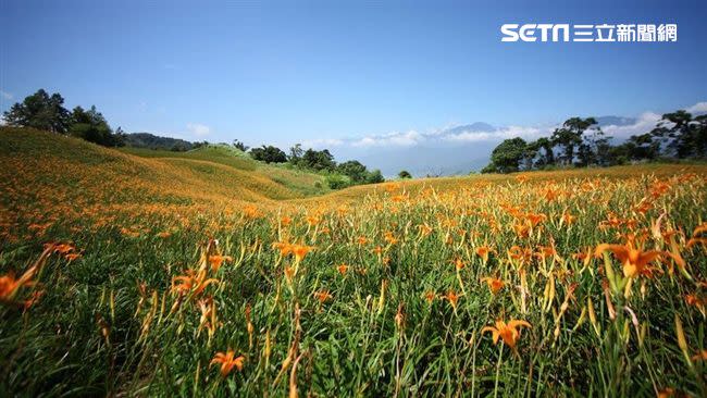 花蓮金針山。