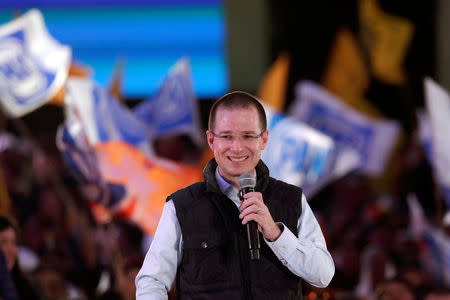 Ricardo Anaya, presidential pre-candidate for the National Action Party (PAN), who leads a left-right coalition, addresses supporters during a rally in Huixquilucan, on the outskirts of Mexico City, Mexico January 20, 2018. Picture taken January 20, 2018. REUTERS/Daniel Becerril