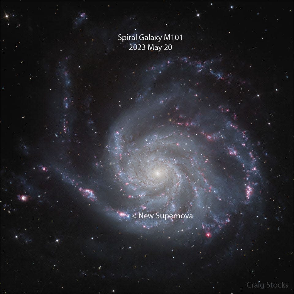 Spiral Galaxy M101 and new supernova, dubbed SN 2023ixf.