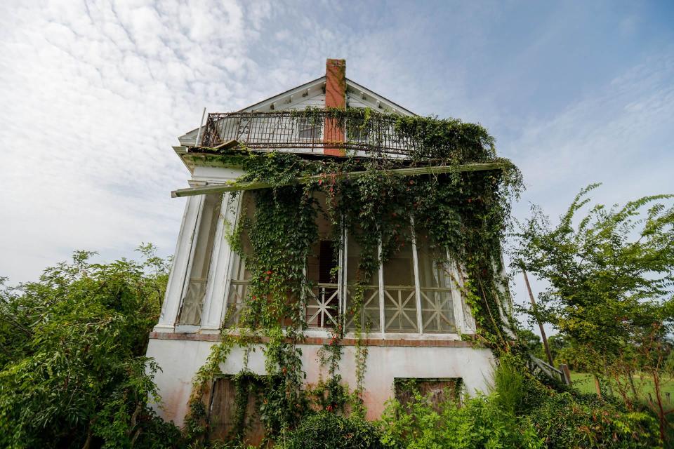 Vines have overtaken the screened porch and balcony of the Butler Island house.