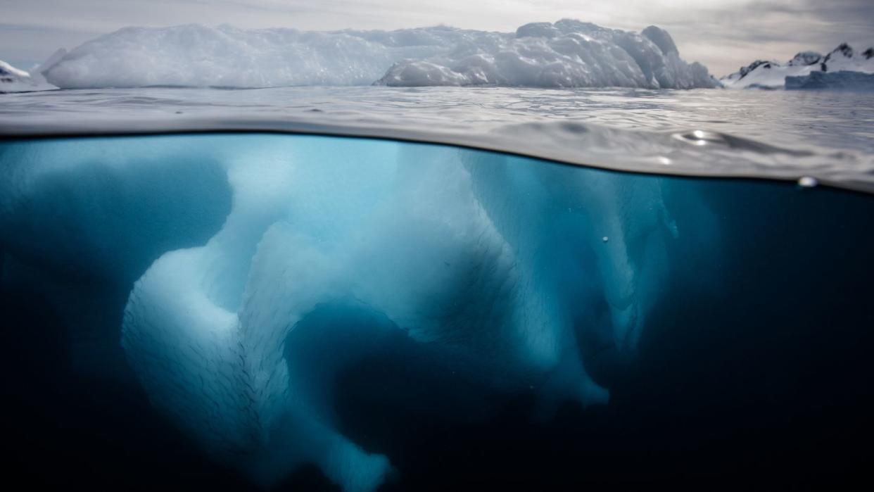 iceberg in antarctica