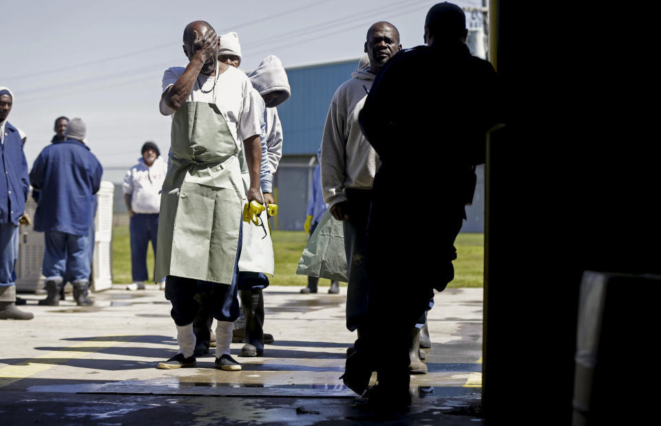 Prisoners line up to work inside a vegetable processing plant, April 15, 2014, at the Louisiana State Penitentiary in Angola, La. The former 19th-century antebellum plantation once was owned by one of the largest slave traders in the United States. (AP Photo/Gerald Herbert)