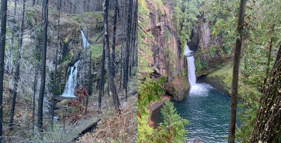 The Archie Creek Fire burned some — but not all — of the waterfalls in the North Umpqua Canyon. On the left is Fall Creek Falls, which was burned, and on right, Toketee Falls, which wasn't.