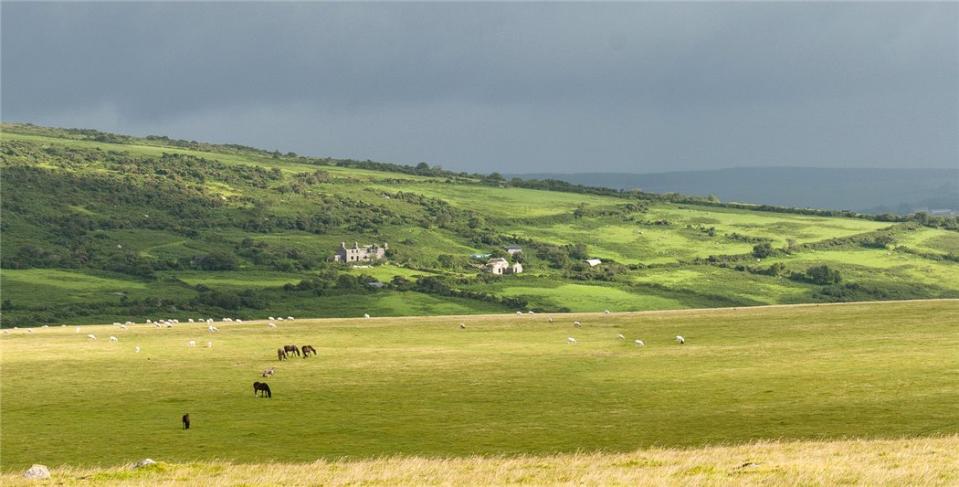 <p>Fans of Poldark would be able to live in splendid isolation in the heart of the Cornish moors, just like Captain Ross from the TV show. </p>