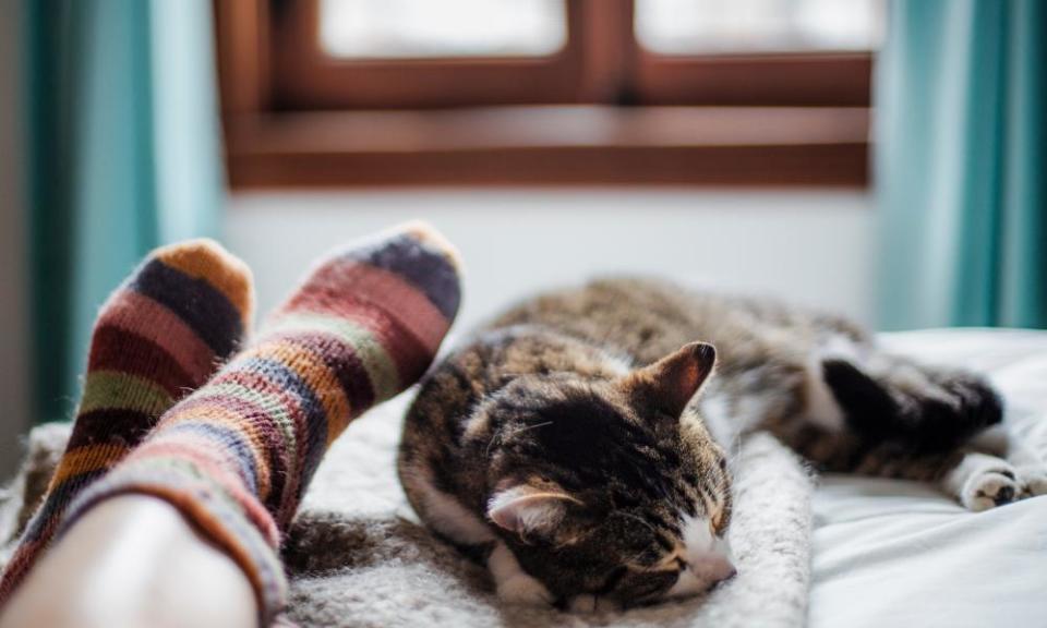 An owner with their cat on a bed