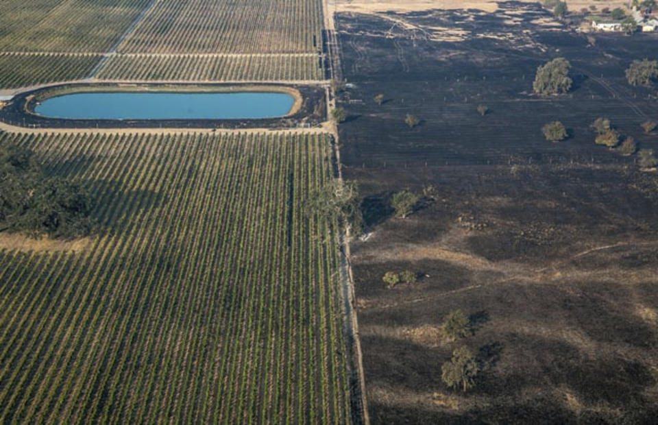 <p>A lush vineyard, left, is seen next to a scorched wasteland near Vintners Inn, just north of Coffey Park, Sonoma County near Santa Rosa, Calif., on Oct. 11, 2017. (Photo: George Rose/Georgerose.com via AP) </p>