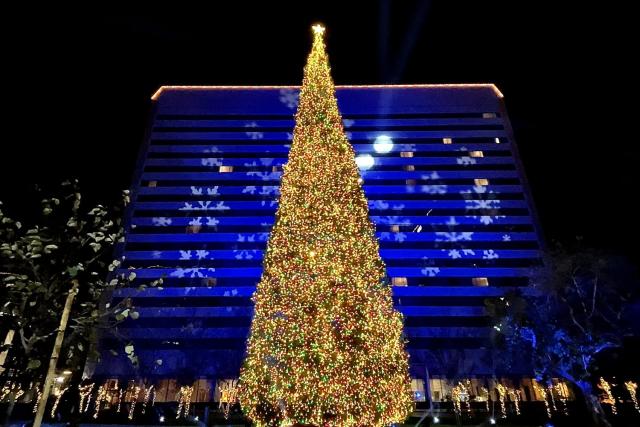 Where to see the L.A. area's tallest Christmas trees