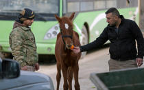 <p>Ein Kämpfer der freien syrischen Armee füttert ein hungriges Pferd in der syrischen Stadt Ar-Raʿi. (Bild: Reuters/Khalil Ashawi) </p>