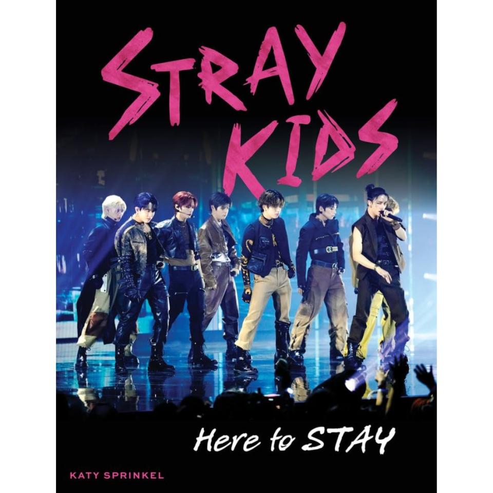 book cover with photo of the Stray Kids