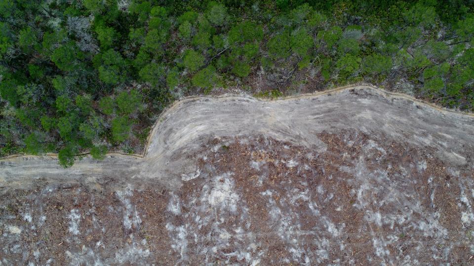 An aerial photo shows land cleared for the St. Joe Watersound Origins development next to Lake Powell in South Walton County. St. Joe recently received a warning letter from the Florida Department of Environmental Protection, and says it has taken steps to ensure that issues are being addressed.