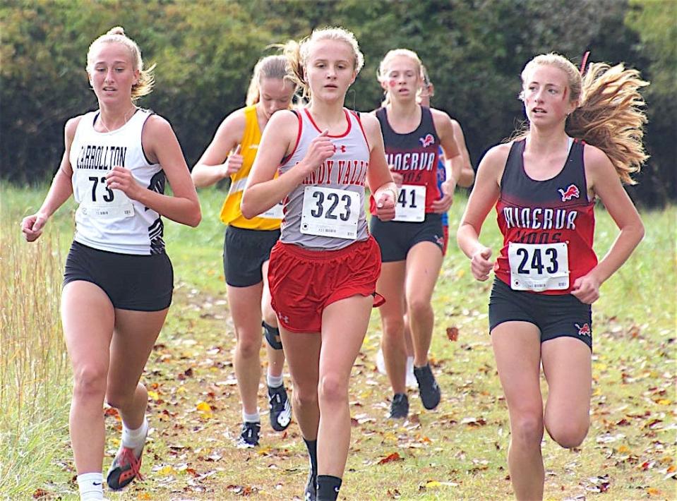 Sandy Valley's Kaydence Hoover (323) was eighth at the district meet with a time of 20:27.