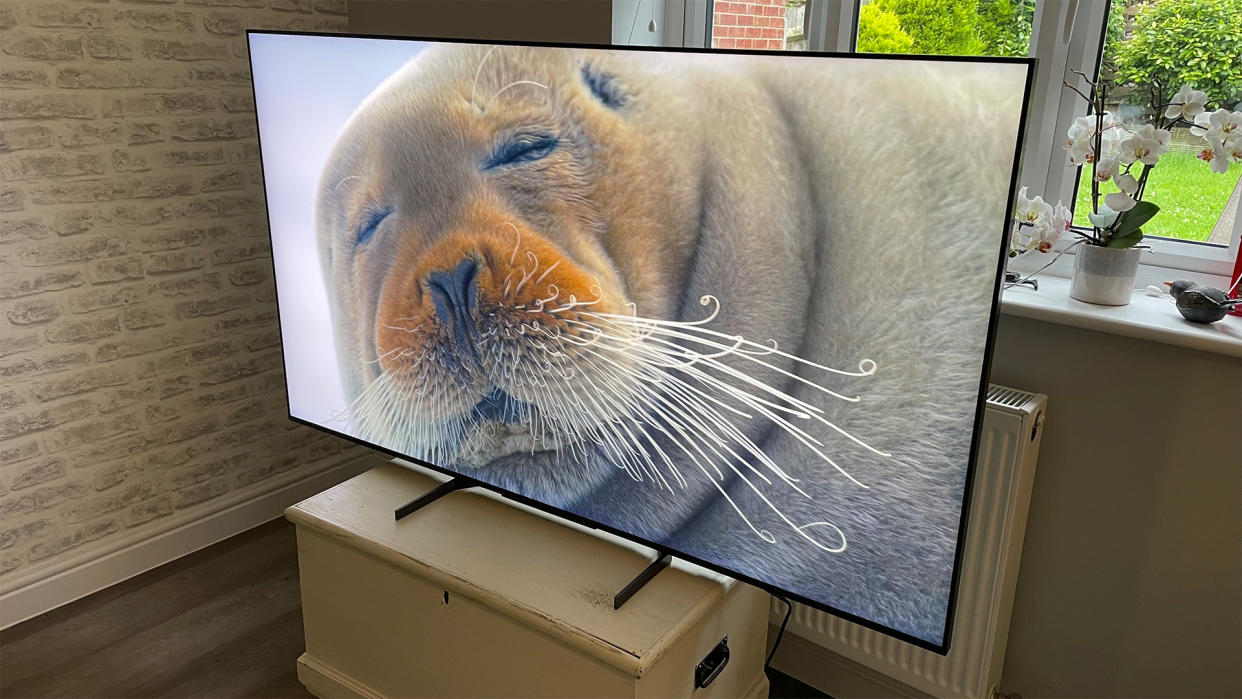  Mini LED TV: Sony XR-65X95L 