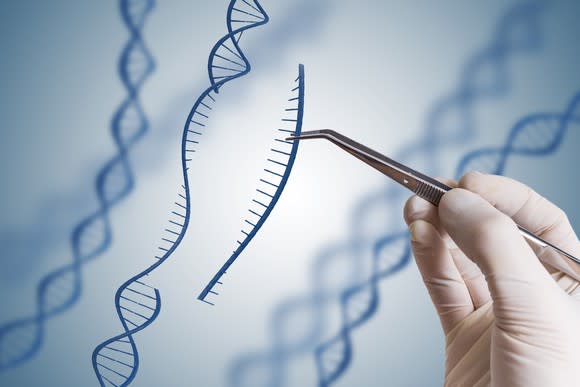 Hand wearing rubber glove and using an instrument to pull out a piece of DNA, DNA editing concept image