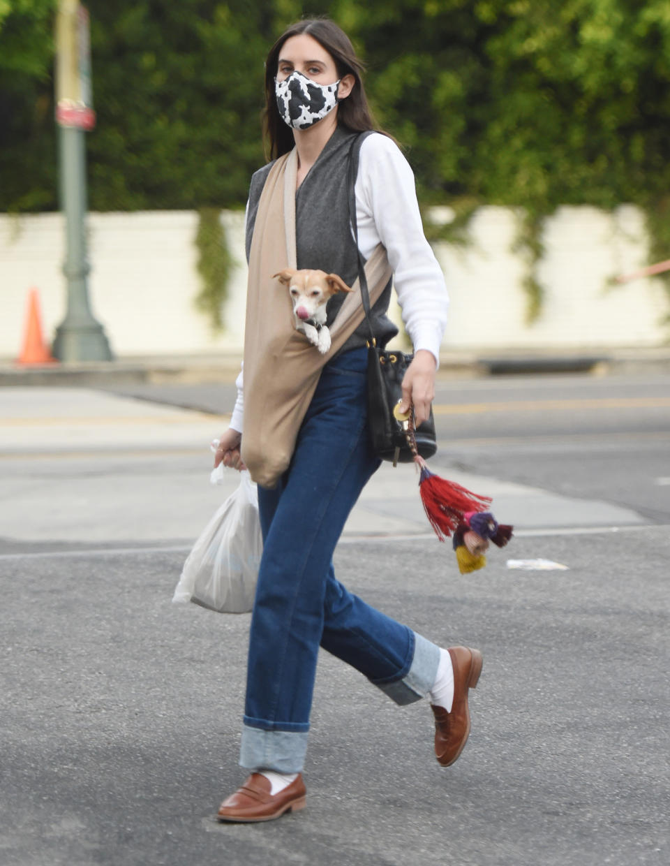 <p>Scout Willis stepped out with her adorable dog in Los Angeles.</p>