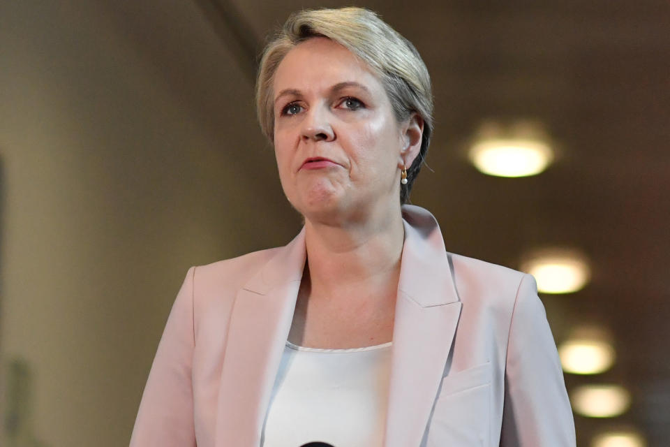 Shadow Education Minister Tanya Plibersek