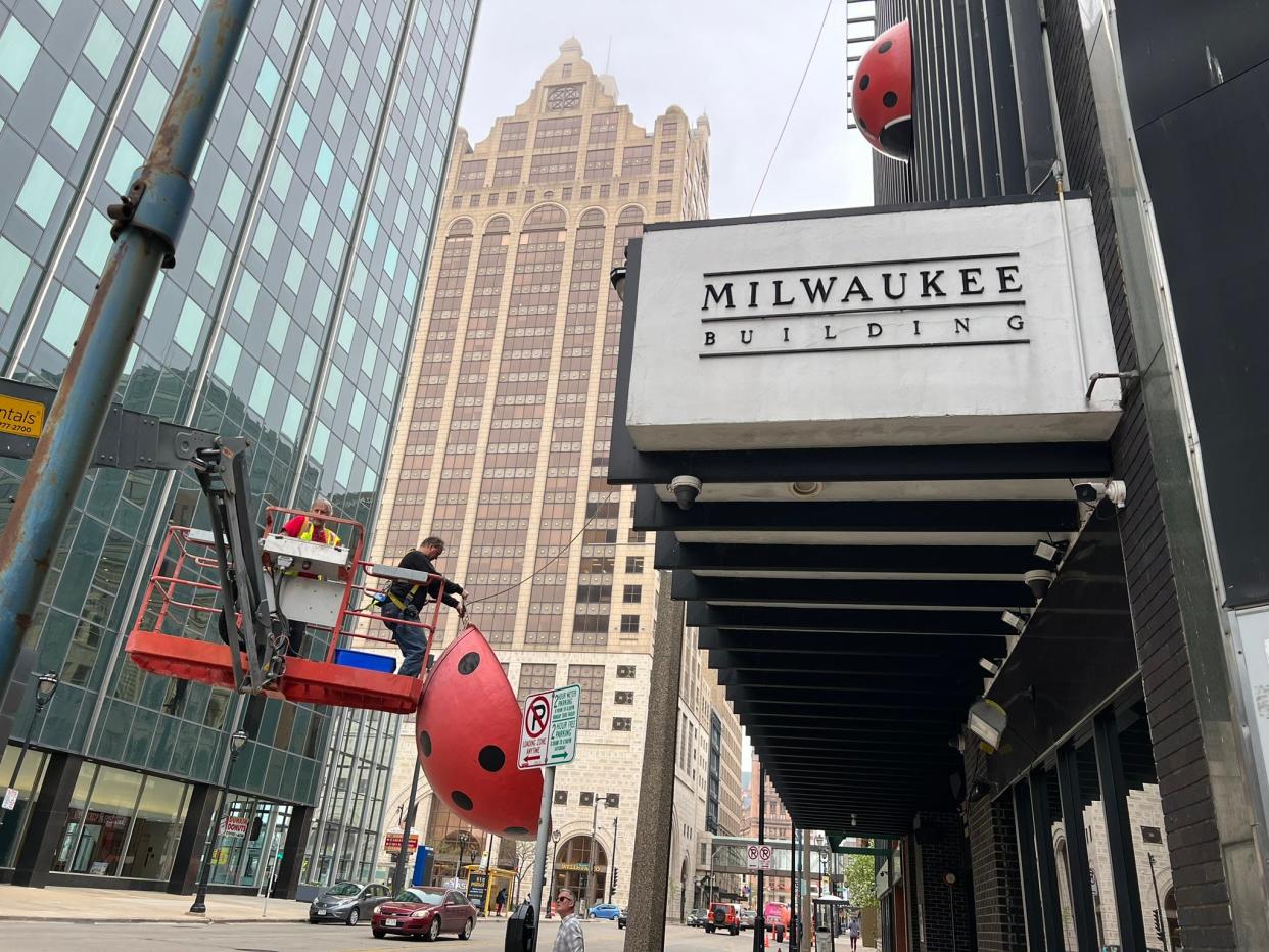 The three popular ladybugs were removed from the side of the Milwaukee Building on April 4 to be refurbished. It prompted some in the city to worry what might be happening to them.