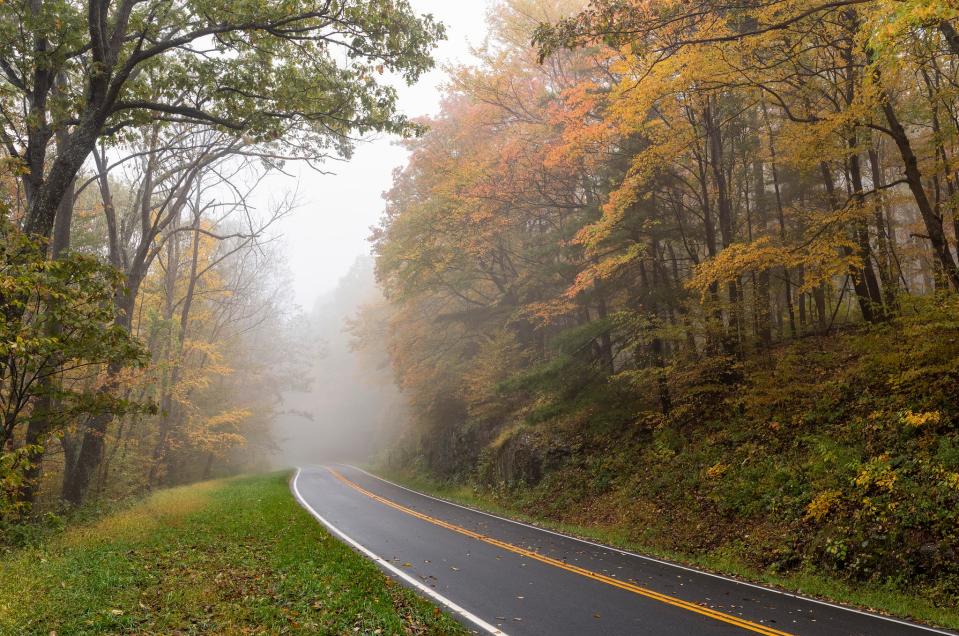 Skyline Drive runs more than 100 miles along the length of Virginia's Shenandoah National Park.
