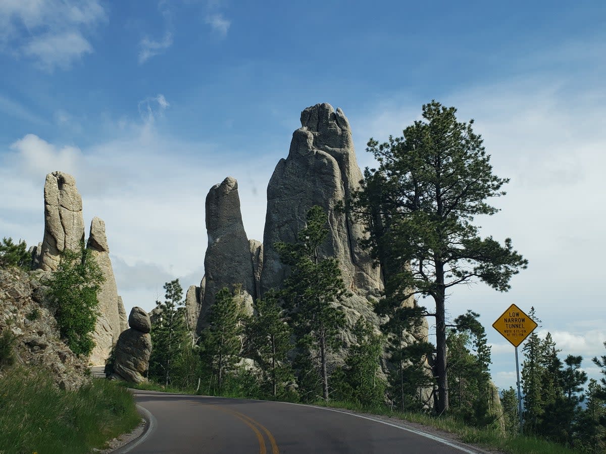 The astounding rock formations of the Needles Highway through Custer State Park, South Dakota (Simon and Susan Veness)