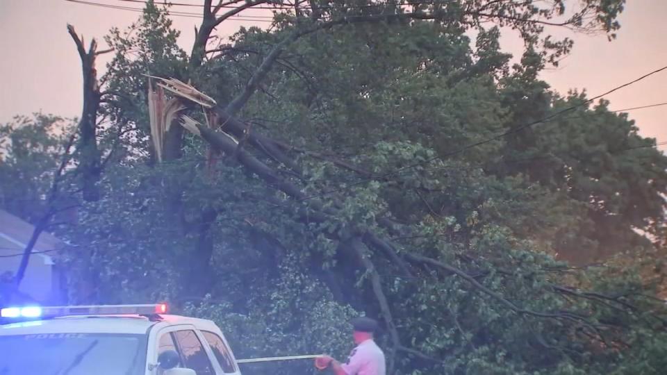 PHOTO: A fallen tree is seen leaning on power lines following a storm, Aug. 7, 2023, in Roxborough, Pa. (WPVI)