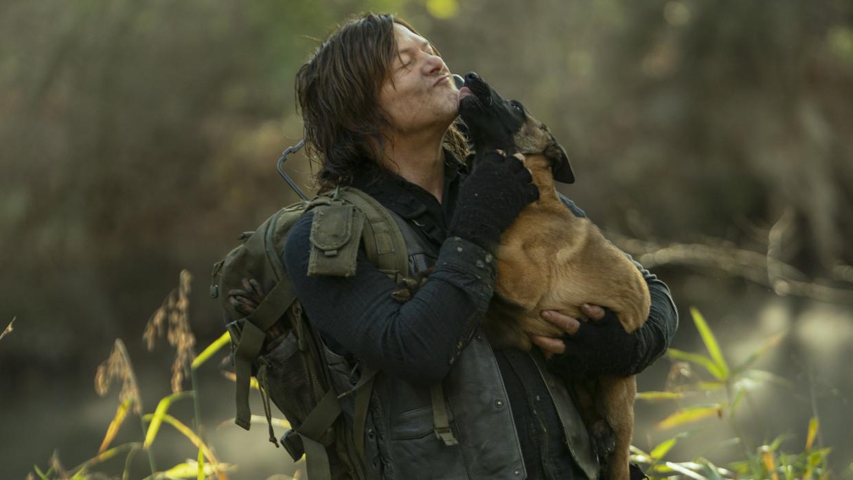  Norman Reedus with Dog. 