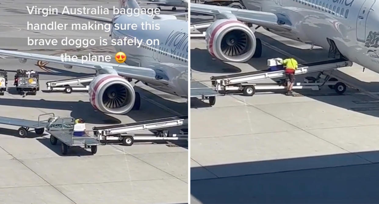 Screenshots from the video showing the baggage handler walking the dog cage towards the plane.