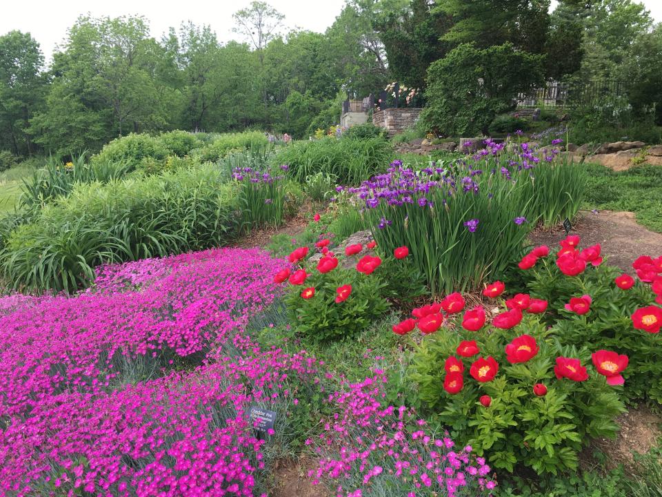 Yew Dell Botanical Gardens is an internationally-recognized center of gardening, plants and education, all offered in a stunning site of significant historical importance.