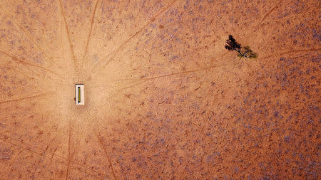 A lone tree stands near a water trough in a drought-effected paddock on Jimmie and May McKeown's property located on the outskirts of town of Walgett, in New South Wales, Australia, July 20, 2018. REUTERS/David Gray/Files