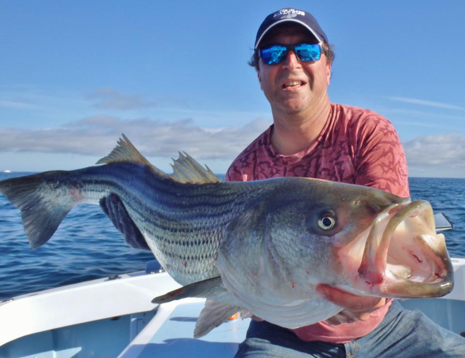 Striped bass is the official state fish in Rhode Island.