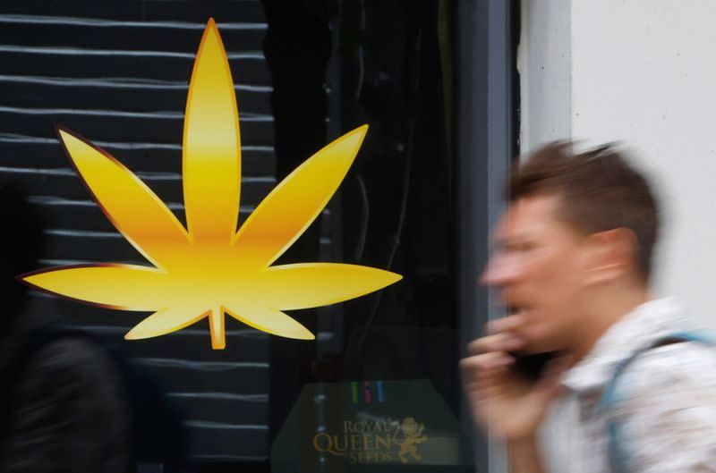 France's highest court rules on "soft" cannabis