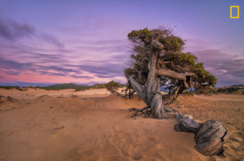 <a href="http://www.nationalgeographic.com/travel/top-10/top-beaches-world/" target="_blank">Nat Geo&nbsp;recommends</a>&nbsp;these dunes on <a href="http://www.fodors.com/world/europe/italy/sardinia" target="_blank">the Mediterranean's&nbsp;most magical island</a>&nbsp;as an excellent spot for beach walks. The sunsets aren't too shabby, either.